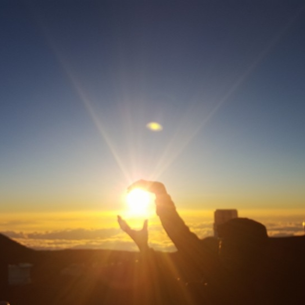 Meet your Posher, Reggie